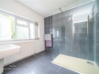 Picture 28